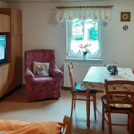 Pet Friendly Apartamento *