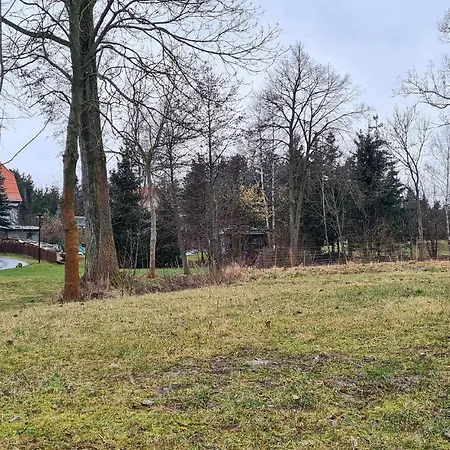 Pet Friendly Apartamento Ninive