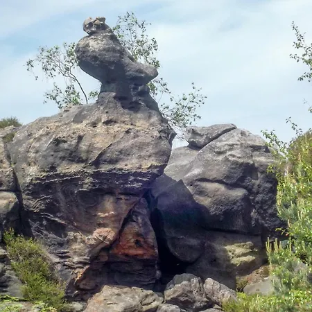 Pet Friendly Apartamento