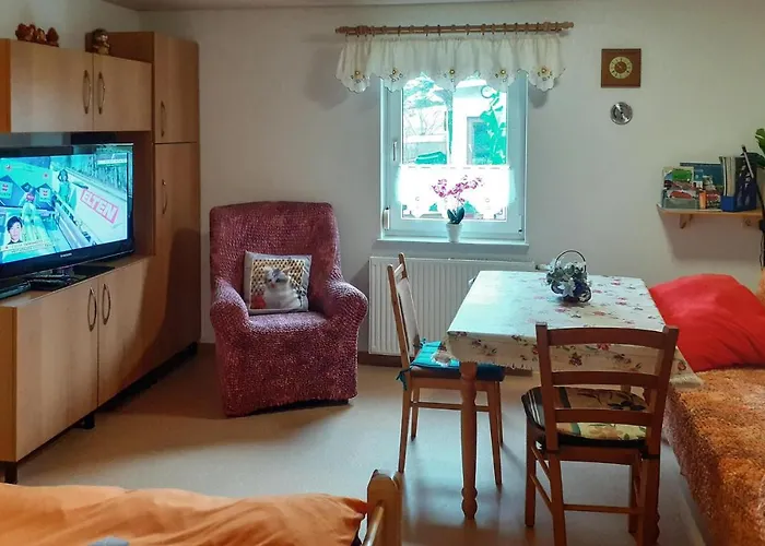 Pet Friendly Appartamento *