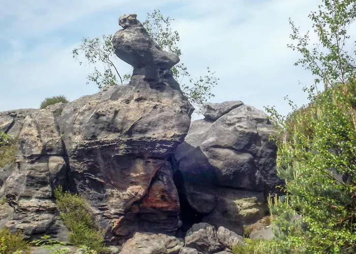 Pet Friendly Appartamento