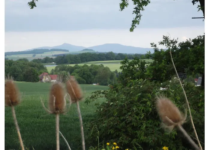 Appartement Pet Friendly